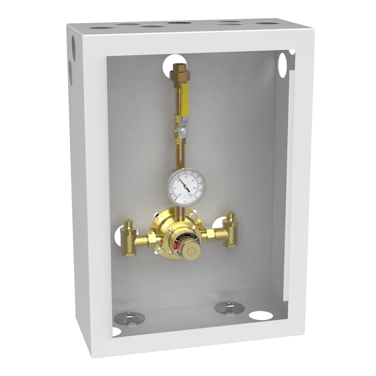 6110 Piped Thermometer Ball Valve Union Cabinet