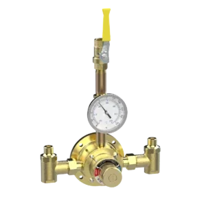 6110 Piped Thermometer Ball Valve