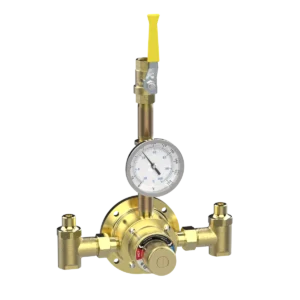 6115 Piped Thermometer Ball Valve