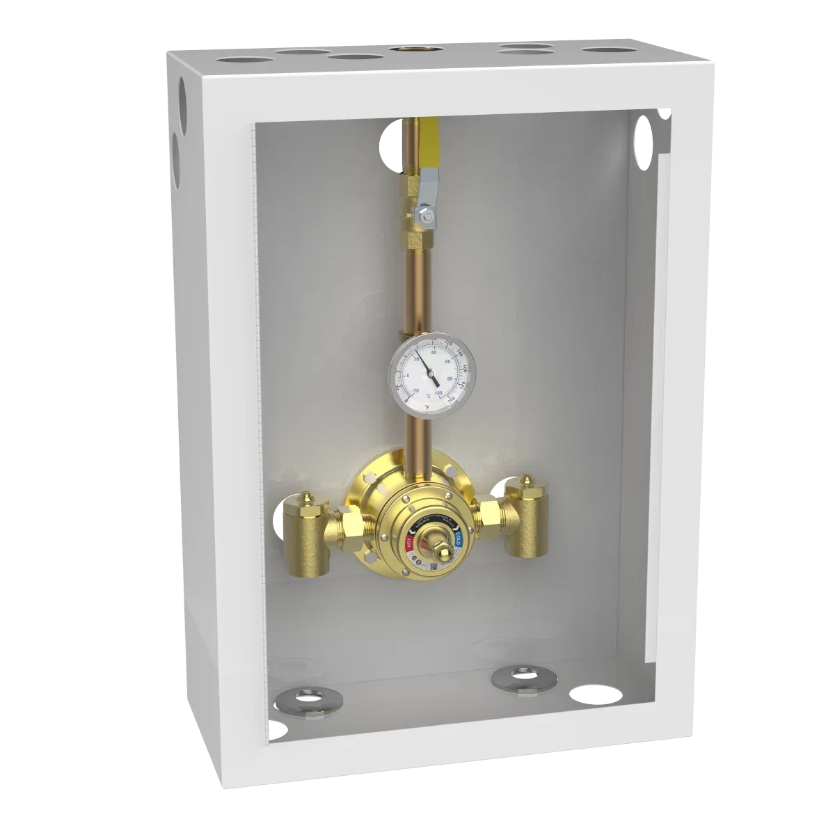 6125 Piped Thermometer Ball Valve Union Cabinet