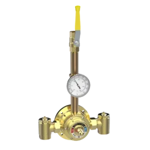 6125 Piped Thermometer Ball Valve